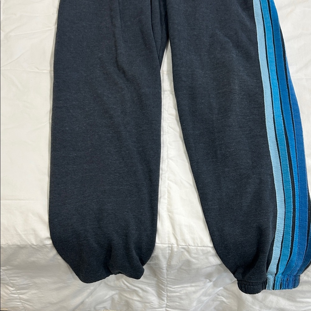 Aviator Nation Charcoal Track Joggers with Blue Stripe M
